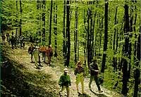 Camper club Napoli - camper napoli sentieri pian de valli.jpg